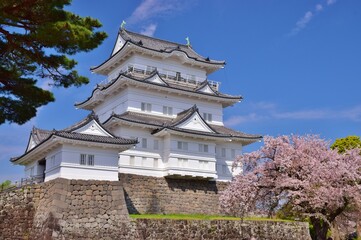 小田原城　春の彩り