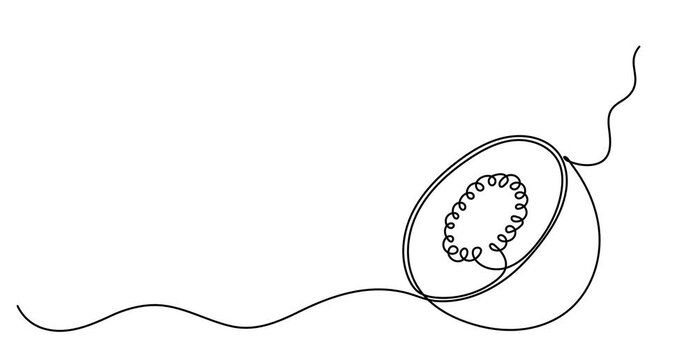 Animated self drawing of Kiwi fruit whole and a half in continuous line art drawing style, Continuous line drawing of kiwi. Minimalist design for kiwi fruit and refreshment themes.
