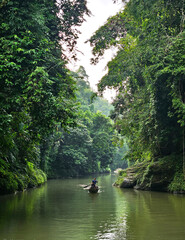 Solitary Wooden Dugout Canoe Floating on Calm Tropical Rainforest River