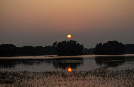 sunset over the rice fild