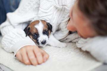 Child girl play with puppy Dog at home