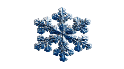 Snowflake: A macro shot of a single, intricate snowflake, its crystalline structure displayed in exquisite detail, a testament to the beauty of winter.