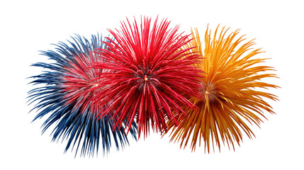 Colorful Fireworks Display: Explosions of vibrant color paint the night sky with streaks of dazzling light, creating a spectacle of joy and celebration. 