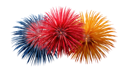 Colorful Fireworks Display: Explosions of vibrant color paint the night sky with streaks of dazzling light, creating a spectacle of joy and celebration. 