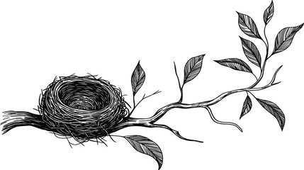 Detailed black and white vector engraving of a bird's nest resting on a leafy branch, symbolizing nature, spring, ecology, and vintage drawing style © Majnur