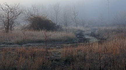 Gray gloomy morning in the country