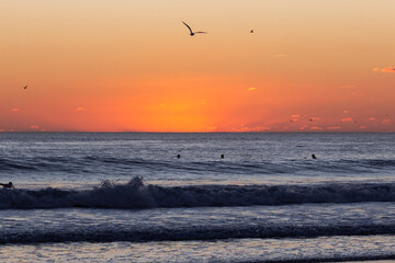 A serene ocean sunset with deep orange light illuminating the horizon, gentle waves in the foreground, and silhouettes of swimmers and flying seabirds adding life to the tranquil coastal scene. 