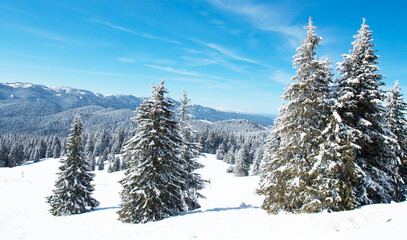 Ski resort Pamporovo in the Rhodopes mountains in Bulgaria