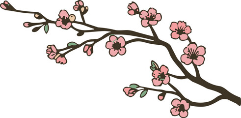 Large cherry blossom frame vector collection, traditional Asian style, watercolor pastel colors, spring flower border set, elegant nature design, bamboo template kit.