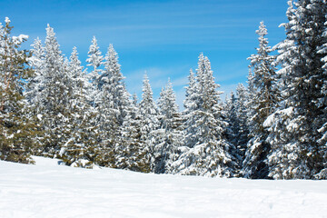 Ski resort Pamporovo in the Rhodopes mountaines in Bulgaria