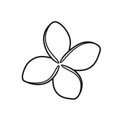 Fototapeta premium Single Outline Plumeria Flower Icon tropical blossom
