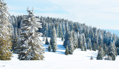 Ski resort Pamporovo in the Rhodopes mountaines in Bulgaria
