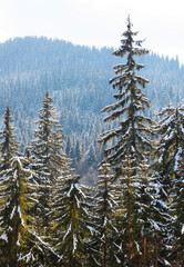 Ski resort Pamporovo in the Rhodopes mountaines in Bulgaria