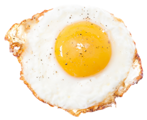 fried egg on a white background