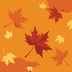 Fototapeta premium autumn leaves background
