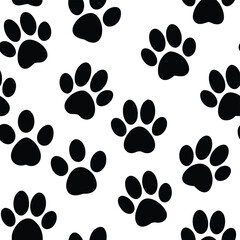 Fototapeta premium black and white cats