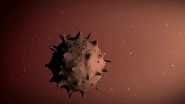 Virus texture anamorphic video macro microscope of a bacteria
