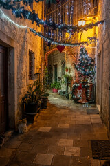Fototapeta premium Narrow alley with cats decorated with garland and string lights in Kotor