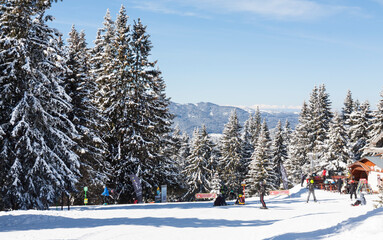 Skiing on ski resort Pamporovo in the Rhodopes mountains in Bulgaria