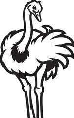 A Beautiful Ostrich Bird