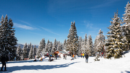 Skiing on ski resort Pamporovo in the Rhodopes mountains in Bulgaria