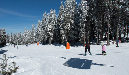 Skiing on ski resort Pamporovo in the Rhodopes mountaines in Bulgaria
