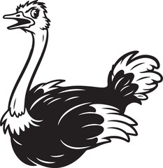 A Beautiful Ostrich Bird