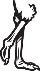 A Beautiful Ostrich Bird's Foot