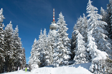 Skiing on ski resort Pamporovo in the Rhodopes mountains in Bulgaria