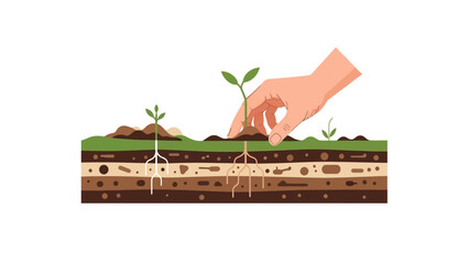 Establishing Deep Roots: Visual Concept for Sustainable Growth, Investment Strategy, and Foundational Development