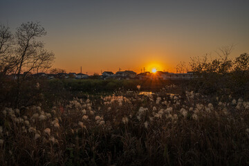 日本の岡山県岡山市の夕方の美しい風景