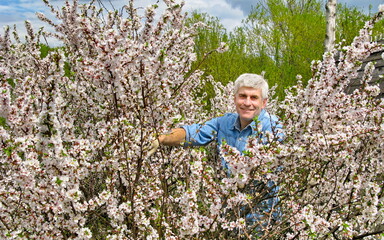 handsome gray-haired man smiling in spring blooming garden on sunny day