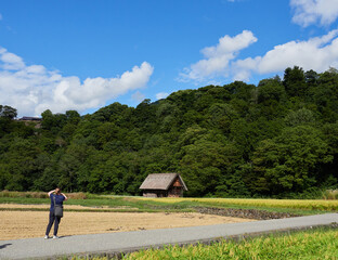 世界遺産白川郷の白川村で散策する外国人観光客の姿と稲の田圃の風景