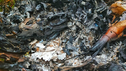 Burnt Debris Close-up
