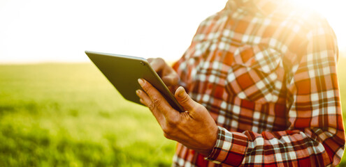 View from behind. A farmer stands in green field holding digital tablet. Agronomist works in field...