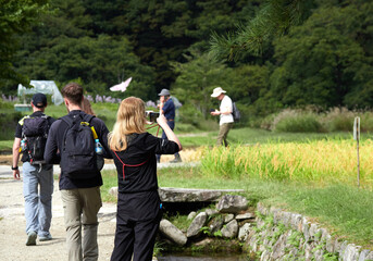 世界遺産白川郷の白川村で散策する外国人観光客の姿と合掌造りの風景