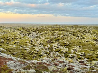Moss-Covered Lava Field in Eldhraun, South Iceland, Unique Volcanic Landscape Formed by Ancient Eruption