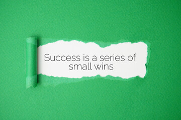 Success is a series of small wins