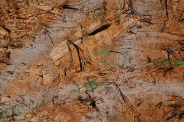 A wood texture with a touch of white and green