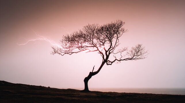 predictability. A solitary tree struck by lightning during a storm with dramatic sky. ESG reports, sustainability campaigns, designed for sustainability communications and ESG reporting.
