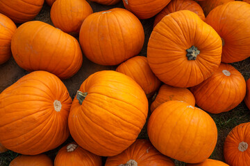 Pumpkins