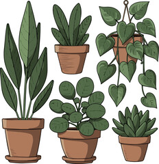 Create a kinds of deferent Green houseplant in terracotta pot vector art with white background.