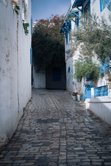 rue tourstique a sidi bousaid tunisie