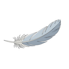 Elegant blue feather illustration with fine details on white background  