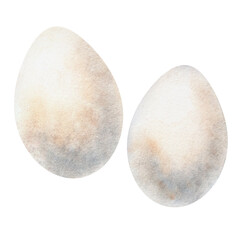 Watercolor illustration of two farm eggs, suitable for Easter designs, children materials, educational projects, packaging, rustic themed decor. Hand painted with soft natural textures in warm tones