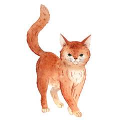 Watercolor illustration of a ginger farm cat, ideal for children projects, educational materials, storybooks, postcards, and rustic designs. Hand-painted with warm layered watercolor textures