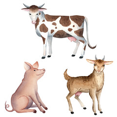 Watercolor set with a cow, piglet and goat, ideal for farm themed projects, children materials, educational designs, packaging, branding and rustic decor. Painted with warm earthy tones