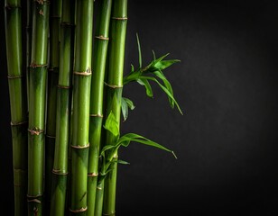 Vibrant green bamboo stalks with fresh leaves against a dark, minimalist background, symbolizing growth and tranquility.