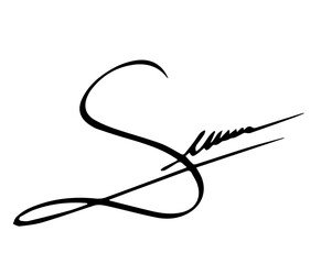 Overall Style and Form: The image features a highly stylized logo or signature, drawn with thick, flowing, connected lines, resembling calligraphy or artistic cursive.