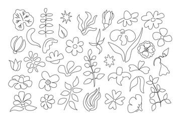 Fototapeta premium Large set of garden plants in primitive line art style. Includes apple tree, daisies, lilies, geranium. Minimalist one-line drawing collection for tattoo or print.